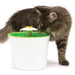 Zuala™ Cat Water Fountain Dispenser BPA Free (5 Pcs Set) Pet Supply SmartGear Factory